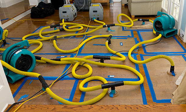 Professional Crawl Space Water Removal technician working in Holly, MI