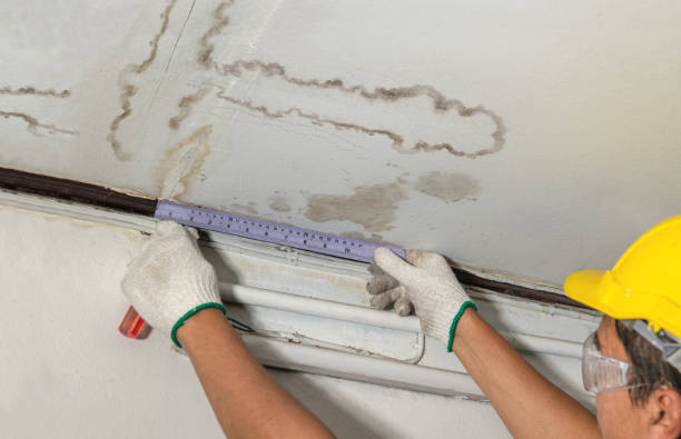 Affordable Water Damage Repair solutions in Holly, MI